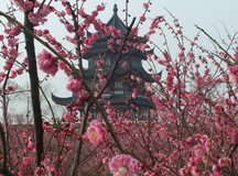 三月女人天，別樣?jì)D女節(jié)